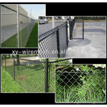 Beautiful Grid Wire Mesh Fence (25 years Manufacturer)